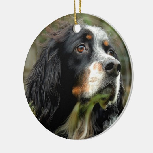 Setter Love Keramisch Ornament (Links)