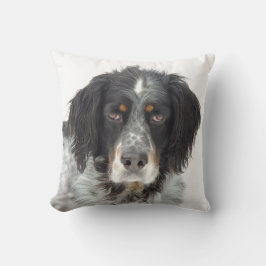 Setter Love Pillow Kussen