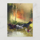 Setters Family Briefkaart (Voorkant)