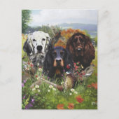 Setters Family Briefkaart (Voorkant)