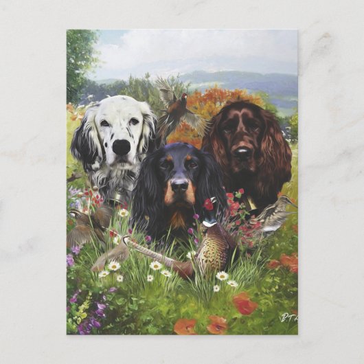 Setters Family Briefkaart (Voorkant)