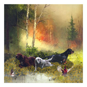 Setters Family Foto Afdruk