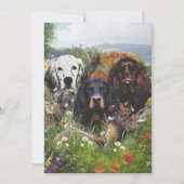 Setters Family Kaart (Voorkant)