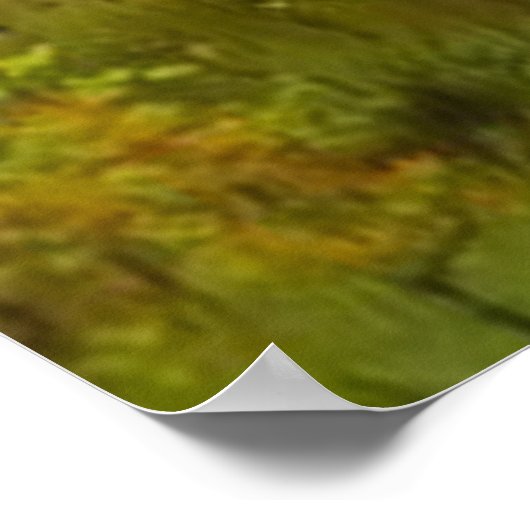 Setters Family Poster (Hoek)