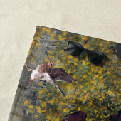 Setters Family Strandlaken (In situ)