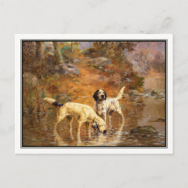 Setters in a Cooling Stream by Percival Rosseau Briefkaart