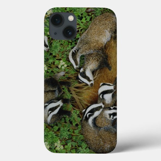 Setting Case-Mate iPhone Case (Achterkant)