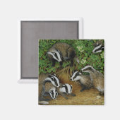 Setting Magneet (Voorkant / Achterkant)