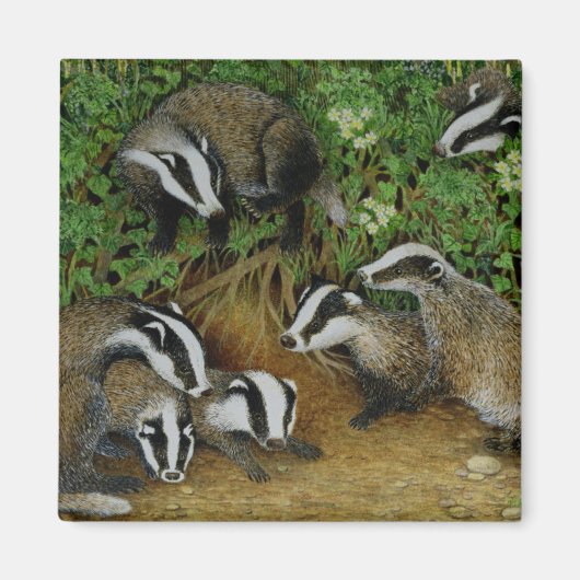 Setting Magneet (Voorkant)