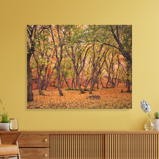 Settlement Canyon Canvas Afdruk (Insitu (Woonkamer))