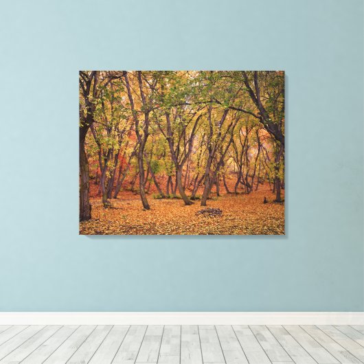 Settlement Canyon Canvas Afdruk (Insitu (Houten vloer))