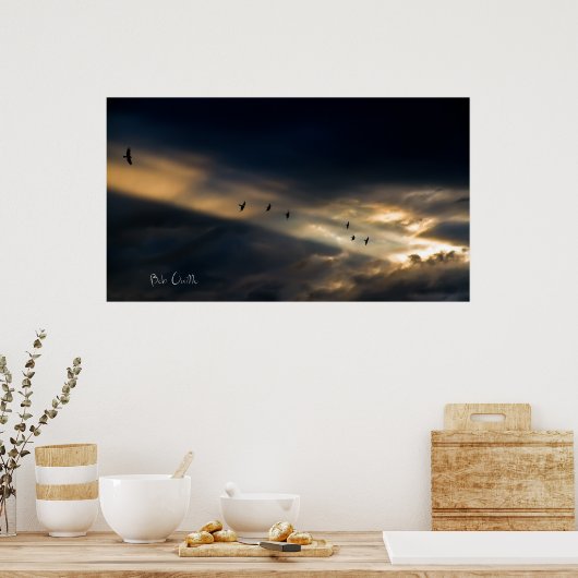 Seven Bird Vision, Bob Orsillo Poster (Keuken)