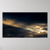 Seven Bird Vision, Bob Orsillo Poster (Voorkant)