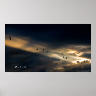 Seven Bird Vision, Bob Orsillo Poster