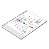 Seven Chakras Notitieboek (Linkerzijde)
