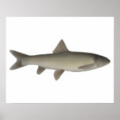 Seven Khramulya Poster (Voorkant)