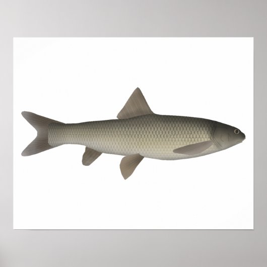 Seven Khramulya Poster (Voorkant)