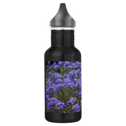 Seven Oaks Waterfles (Links)