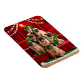 Seven Pugs-a-Posing Magneet (Rechterzijde)