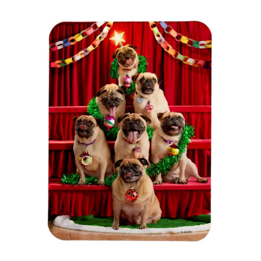 Seven Pugs-a-Posing Magneet (Verticaal)
