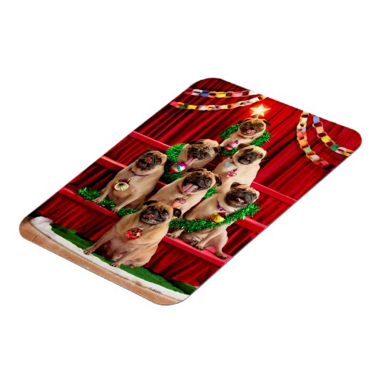 Seven Pugs-a-Posing Magneet (Linkerzijde)
