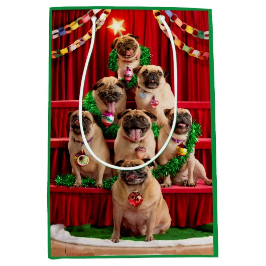 Seven Pugs-a-Posing Medium Cadeauzakje (Voorkant)