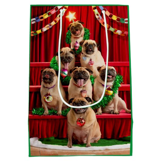 Seven Pugs-a-Posing Medium Cadeauzakje (Achterkant)