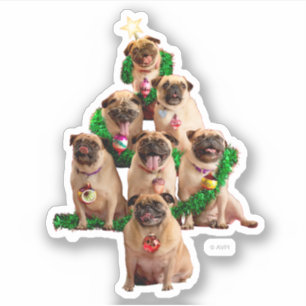 Seven Pugs-a-Posing Sticker
