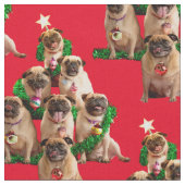 Seven Pugs-a-Posing Stof (Close Up)