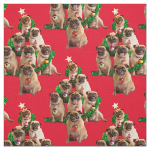 Seven Pugs-a-Posing Stof