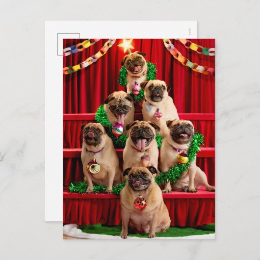 Seven Pugs-a-Posing Uitnodiging Briefkaart (Voorkant / Achterkant)