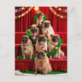 Seven Pugs-a-Posing Uitnodiging Briefkaart (Voorkant)