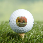 Seven Springs Fall Bridge III Herfstlandschap Golfballen (Insitu Shirt)