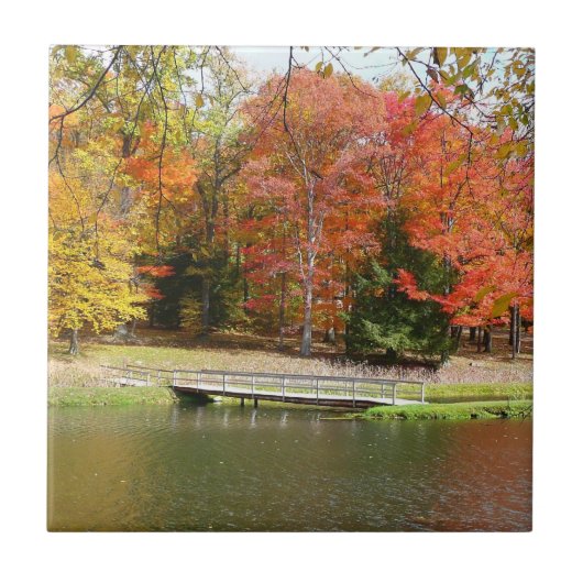 Seven Springs Fall Bridge III Herfstlandschap Tegeltje (Voorkant)