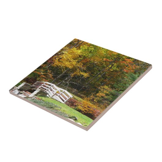 Seven Springs Herfst Bridge I Autumn Landscape Tegeltje (Zijkant)