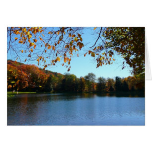 Seven Springs-Herfst Trees en Pond