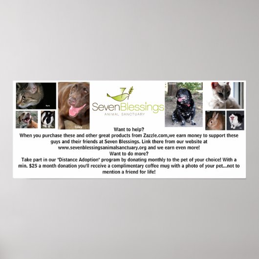 sevenblessings.org poster (Voorkant)