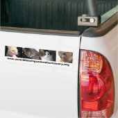 sevenblessingsanimalsanctuary.org bumpersticker (Op Truck)