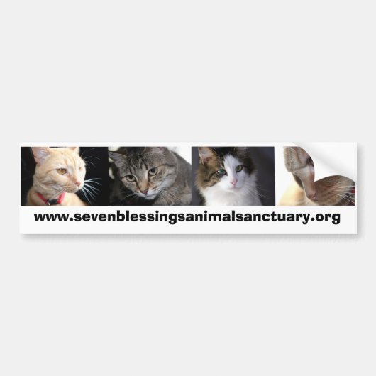 sevenblessingsanimalsanctuary.org bumpersticker (Voorkant)