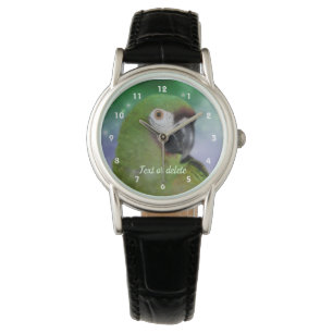 Severe Macaw Parrot Animal op maat Horloge