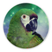 Severe Macaw Parrot dicht bij Keramische Knop (Voorkant)