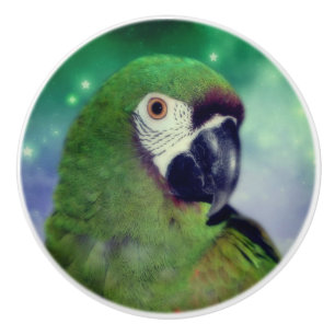 Severe Macaw Parrot dicht bij Keramische Knop