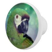 Severe Macaw Parrot dicht bij Keramische Knop (Rechts)