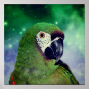 Severe Macaw Parrot dicht bij Poster