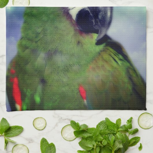 Severe Macaw Parrot dicht bij Theedoek (Gevouwen)