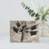 Sewanee Dragonfly - OlioStudios.com Briefkaart (Staand voorkant)