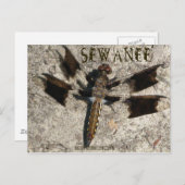 Sewanee Dragonfly - OlioStudios.com Briefkaart (Voorkant / Achterkant)