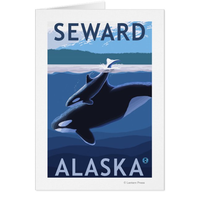 Seward, AlaskaOrca en Calf Scene (Voorkant)