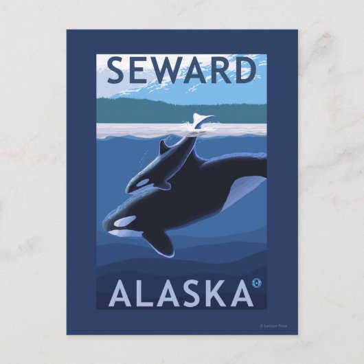 Seward, AlaskaOrca en Calf Scene Briefkaart (Voorkant)