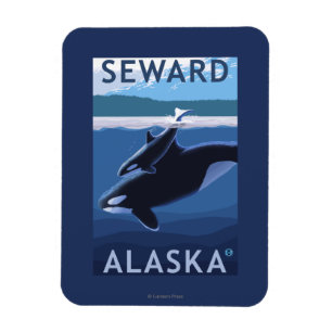 Seward, AlaskaOrca en Calf Scene Magneet